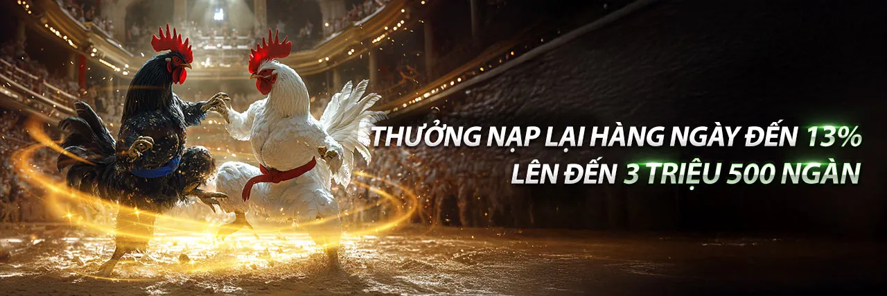 Tin tức và khuyến mãi mới nhất từ daga 88